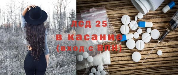 прущие грибы Белокуриха