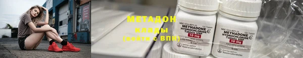 прущие грибы Белокуриха