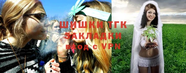 прущие грибы Белокуриха