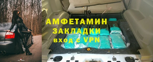 прущие грибы Белокуриха