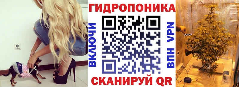 Бошки марихуана VHQ Острогожск